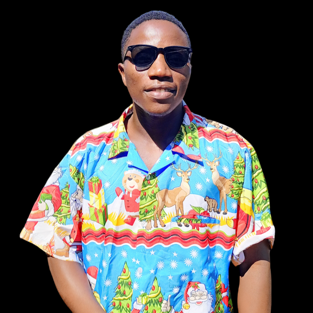 Nzaramyimana Jerome/software Engineer